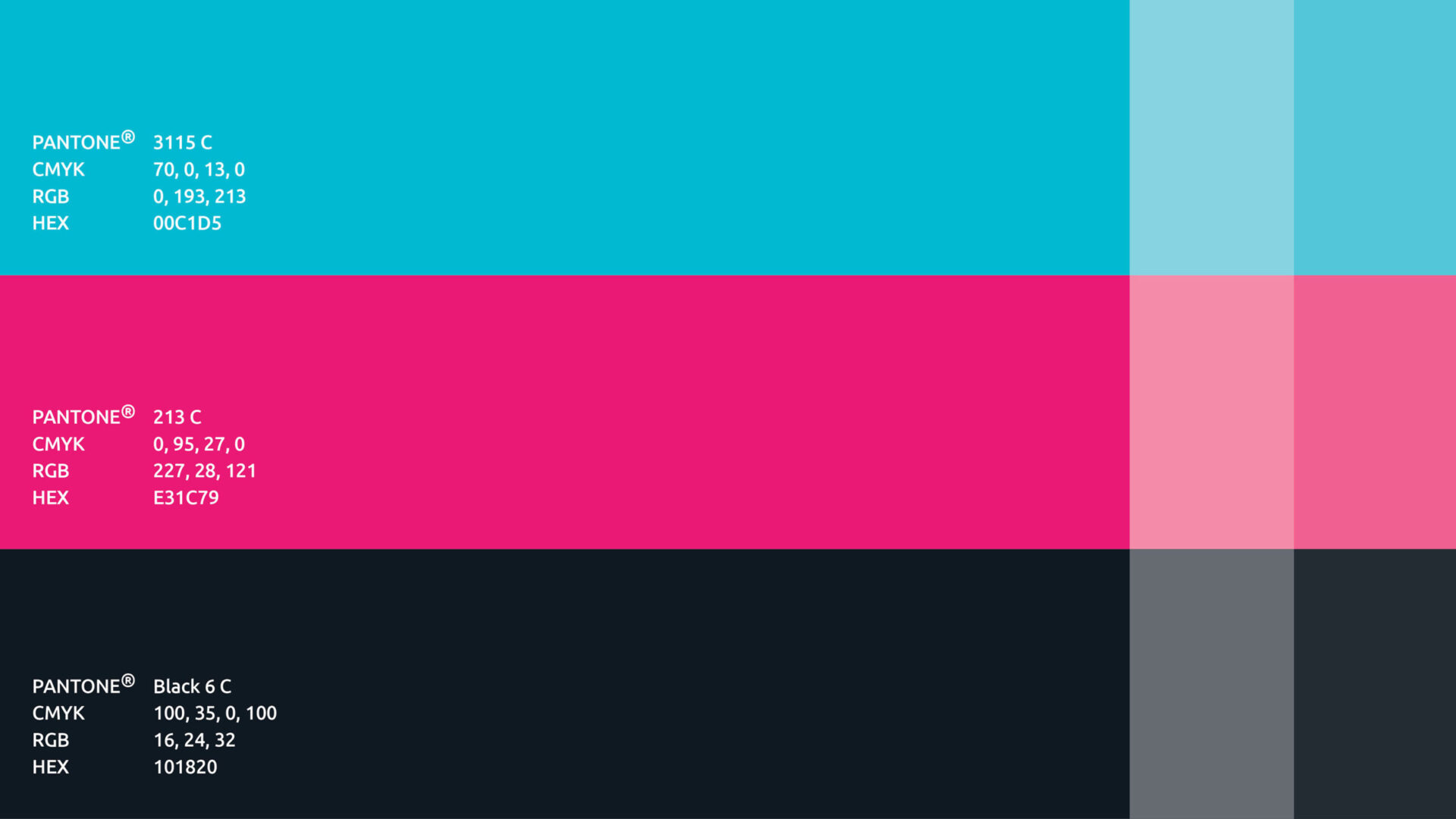 Selección de paleta PANTONE azul, rosa y negro para CODIUM, branding por Carbono Agencia.